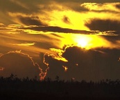 miami everglades tours